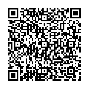 WhatsApp QR Code